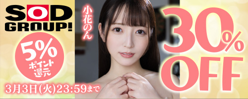 SODグループ30％OFF第2弾