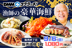 イカ屋荘三郎 豪華海鮮