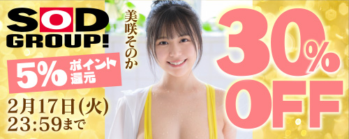 SODグループ30％OFF